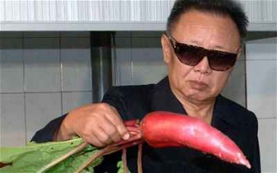Kim Jong Il: Still Looking at Things